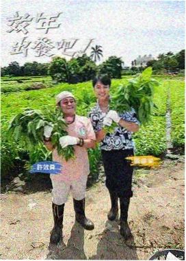 午夜免费视频网站 霸王别姬